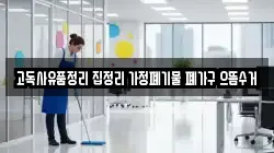 강원특별자치도 강릉시 강동면 청소,입주청소,사무실청소,에어컨청소,특수청소,상가청소,거주청소,유품정리