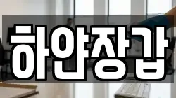 하얀장갑