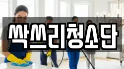 싹쓰리청소단