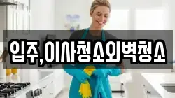 입주,이사청소외벽청소