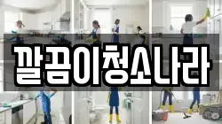 깔끔이청소나라