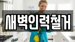새벽인력철거