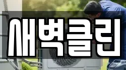 새벽클린