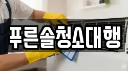 푸른솔청소대행