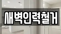 새벽인력철거