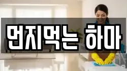 먼지먹는 하마