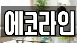 에코라인