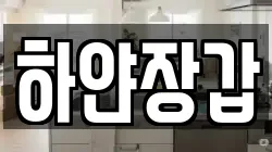 하얀장갑