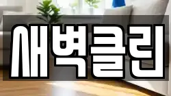 새벽클린
