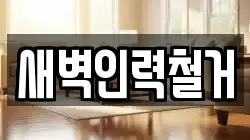 새벽인력철거