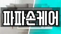 파파손케어