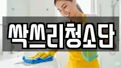 싹쓰리청소단