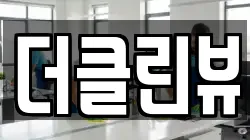 더클린뷰