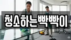 청소하는빡빡이