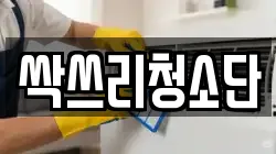 싹쓰리청소단