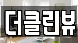 더클린뷰