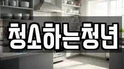 청소하는청년