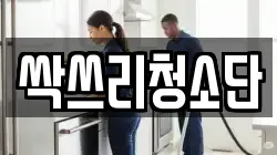 싹쓰리청소단