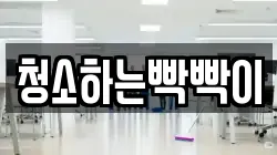 청소하는빡빡이