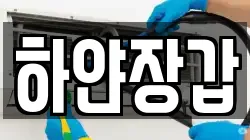 하얀장갑
