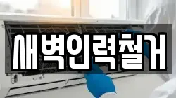 새벽인력철거