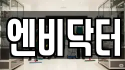 엔비닥터