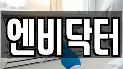 엔비닥터