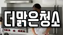 더맑은청소