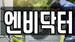 엔비닥터