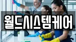 월드시스템케어