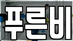강원특별자치도 속초시 금호동 청소,입주청소,사무실청소,에어컨청소,특수청소,상가청소,거주청소,유품정리