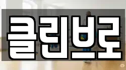 강원특별자치도 속초시 도문동 청소,입주청소,사무실청소,에어컨청소,특수청소,상가청소,거주청소,유품정리