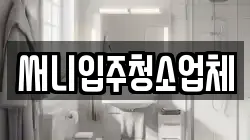 써니입주청소업체