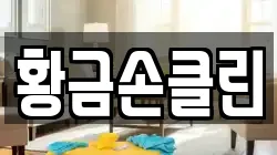 황금손클린