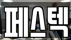 페스텍