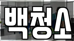 백청소