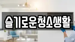 슬기로운청소생활