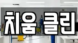 치움 클린