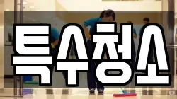 특수청소