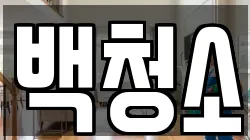 백청소