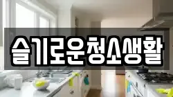 슬기로운청소생활