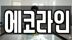 에코라인