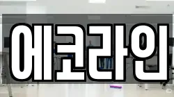 에코라인