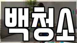 백청소