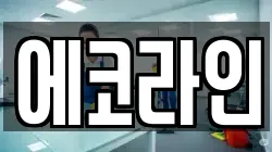 에코라인