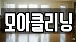 모아클리닝