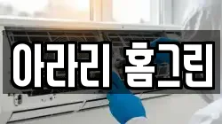 강원특별자치도 정선군 정선읍 청소,입주청소,사무실청소,에어컨청소,특수청소,상가청소,거주청소,유품정리