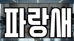 파랑새