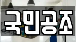 국민공조