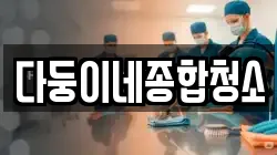 다둥이네종합청소